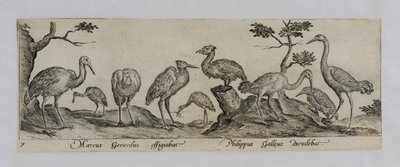 نقش المعلم القديم بواسطة ماركوس غيرايرتس